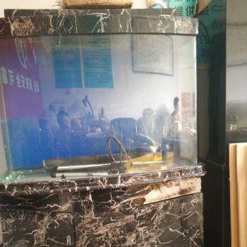 鋼琴與魚(yú)缸快運(yùn)