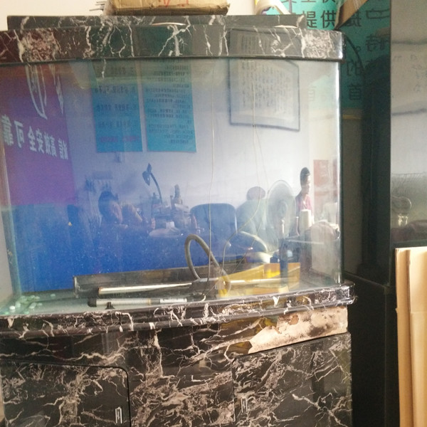 鋼琴、魚缸專運現(xiàn)場