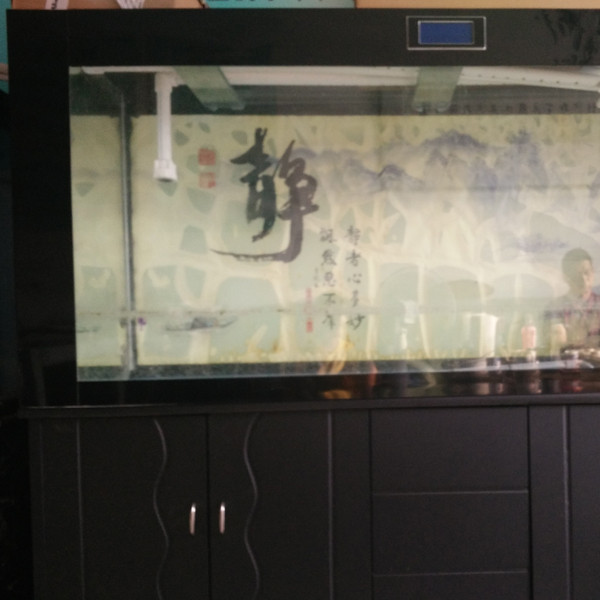 鋼琴、魚缸專運現(xiàn)場